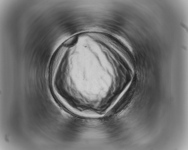 X0000094771007200712071129