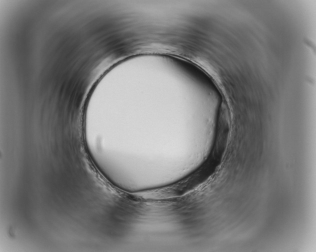 X0000094771008200712071129