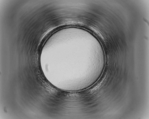 X0000094771021200712071128