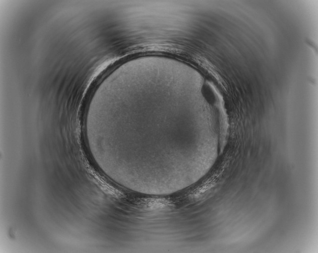 X0000094771024200712071128