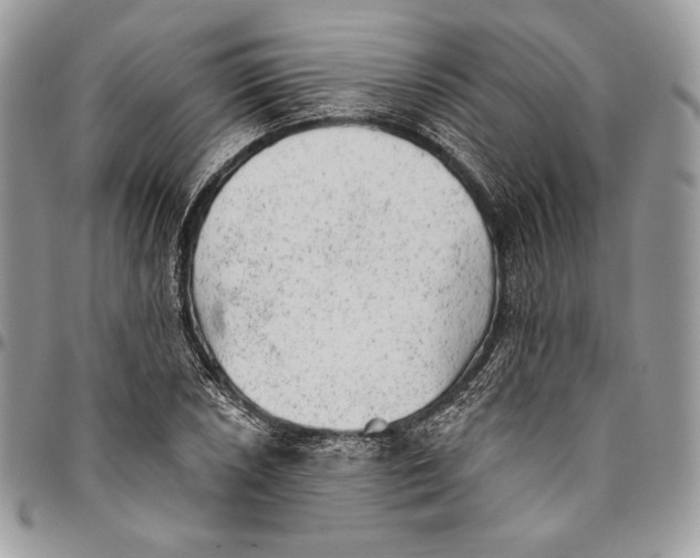 X0000094771026200712071128