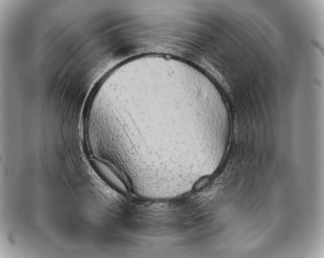 X0000094771028200712071128