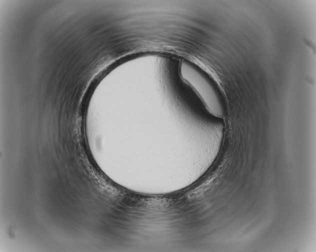 X0000094771029200712071128