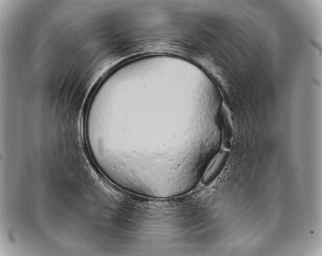 X0000094771032200712071128