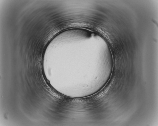 X0000094771033200712071128