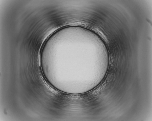 X0000094771036200712071128