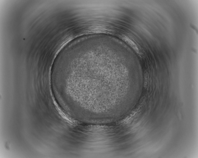 X0000094771039200712071129