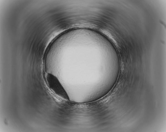 X0000094771040200712071129