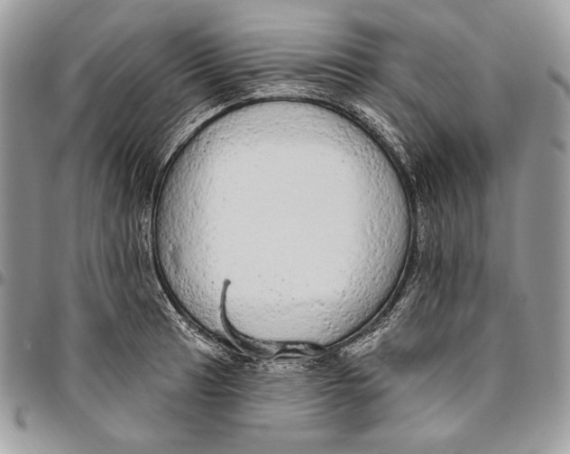 X0000094771041200712071129