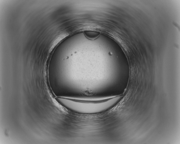 X0000094771042200712071129