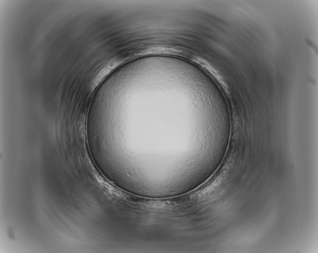 X0000094771049200712071129