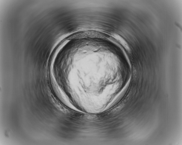 X0000094771052200712071129