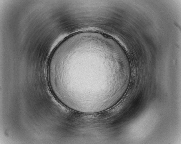 X0000094771054200712071129