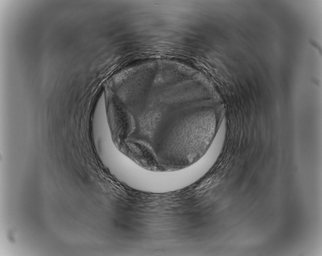 X0000094771057200712071128