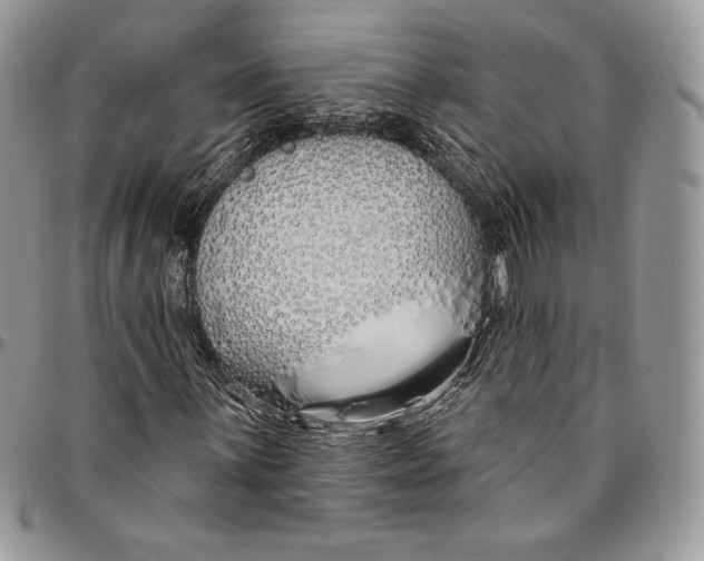 X0000094771059200712071128