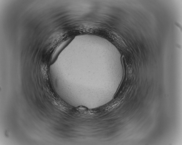 X0000094771060200712071128