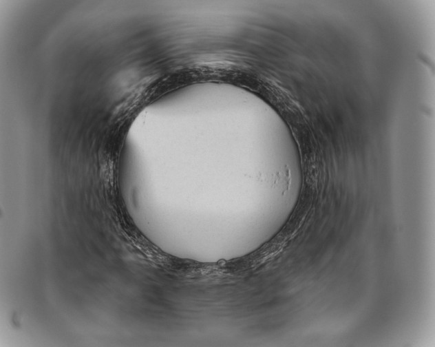 X0000094771061200712071128