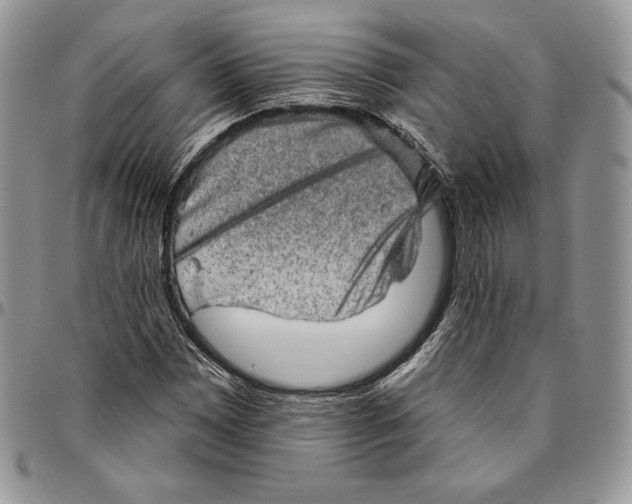 X0000094771065200712071128