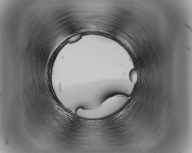 X0000094771068200712071128