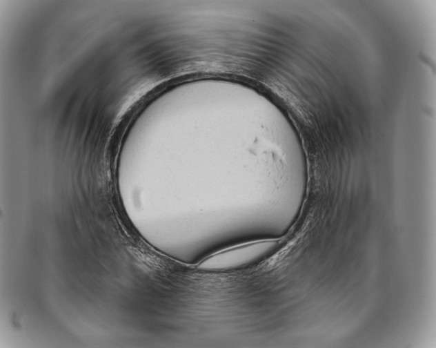 X0000094771070200712071128