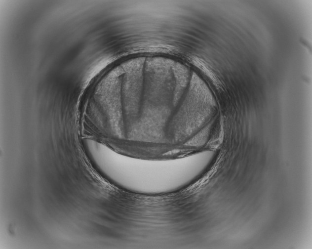 X0000094771071200712071128