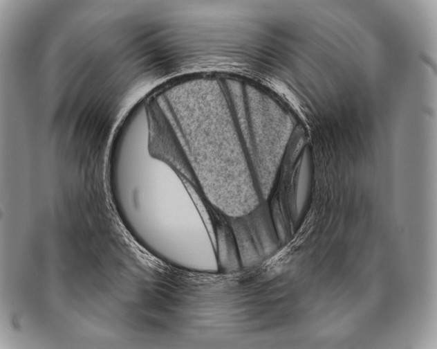 X0000094771072200712071128