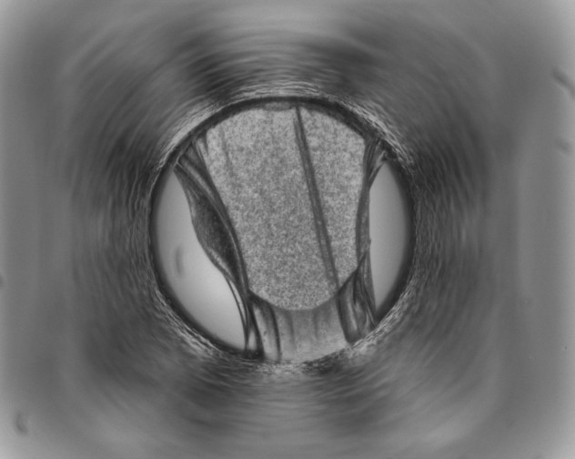 X0000094771073200712071128