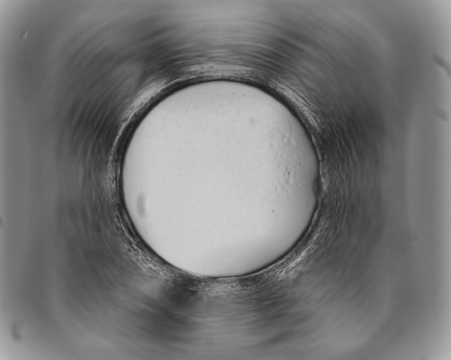 X0000094771074200712071128