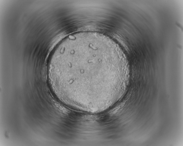 X0000094771075200712071128