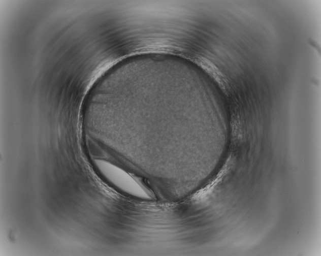 X0000094771077200712071128