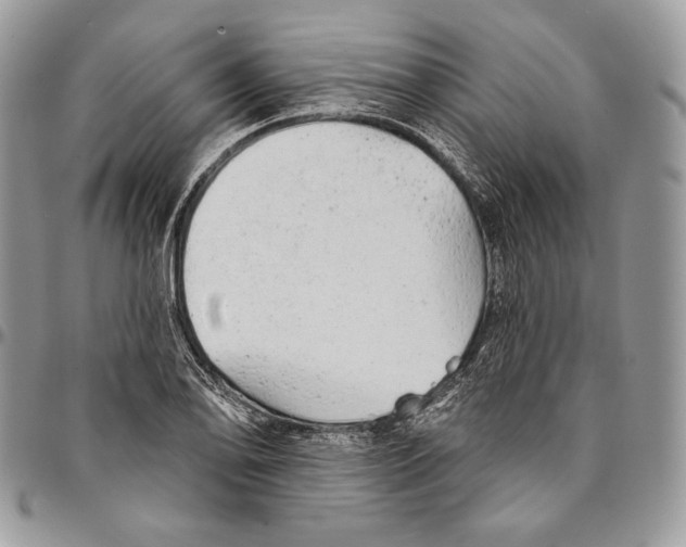 X0000094771078200712071128