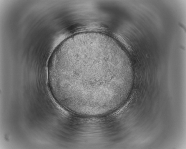 X0000094771079200712071128