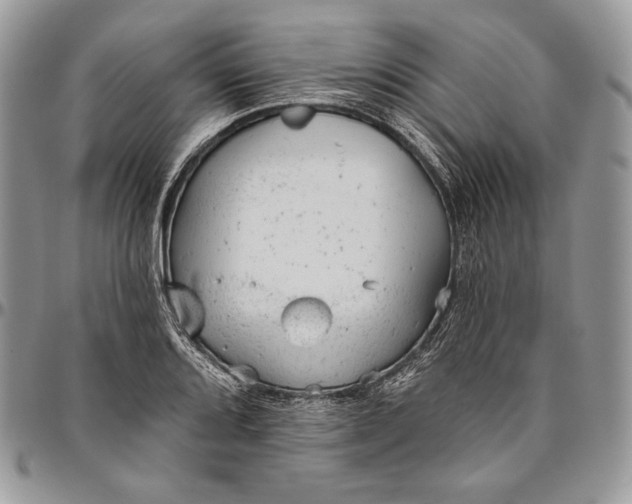 X0000094771080200712071128