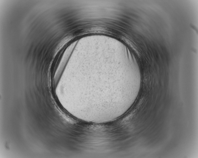 X0000094771082200712071128