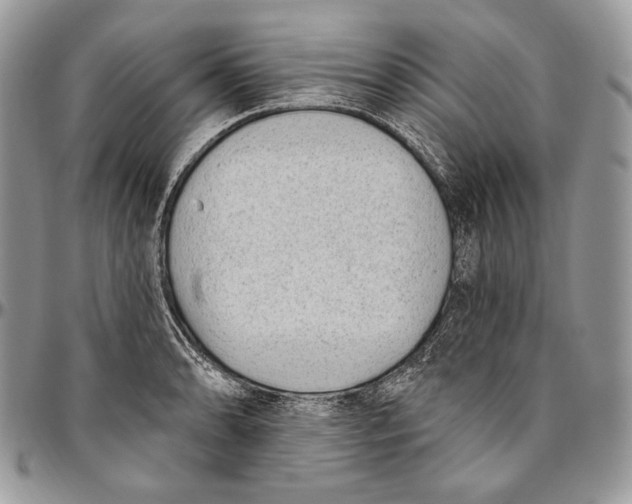 X0000094771086200712071128