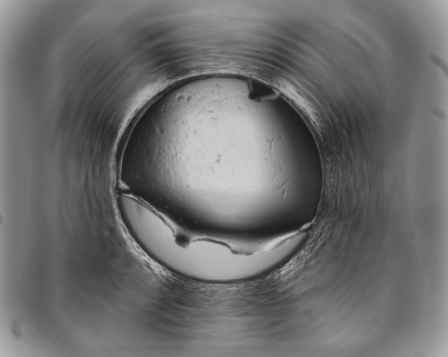 X0000094771088200712071128