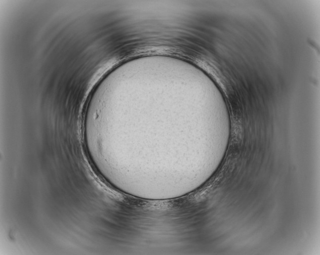 X0000094771090200712071127