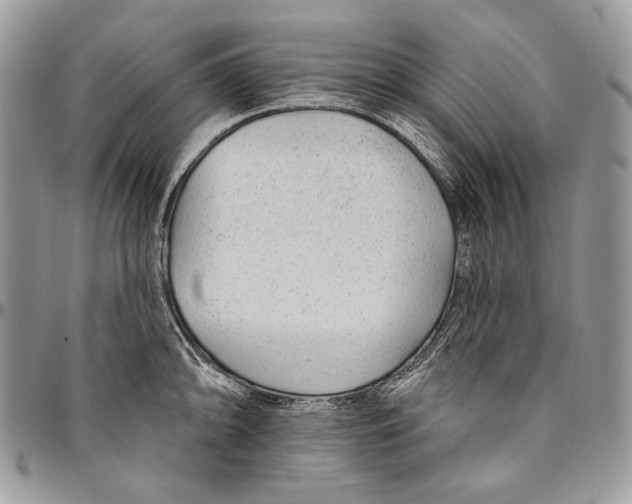 X0000094771094200712071127