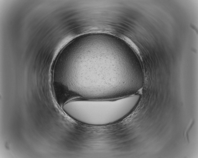 X0000094771096200712071127