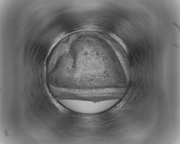 X0000094771099200712071127