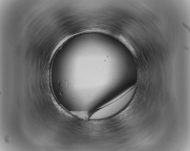 X0000094771100200712071127