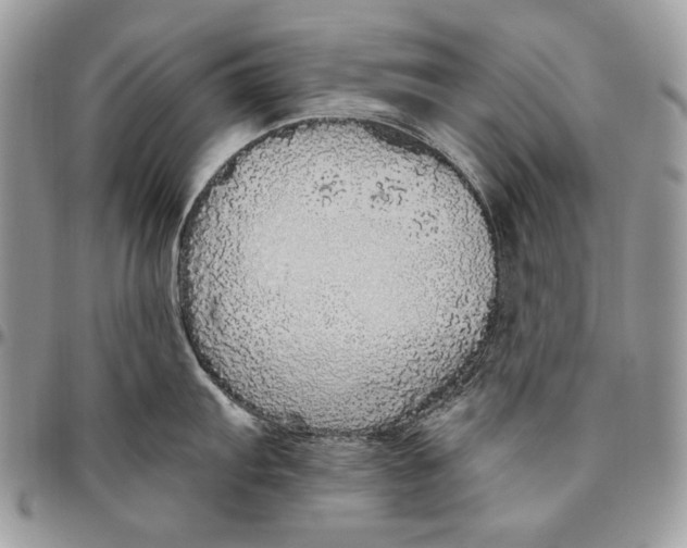 X0000094771103200712071127