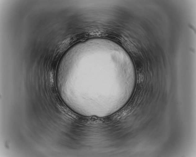 X0000094771106200712071127