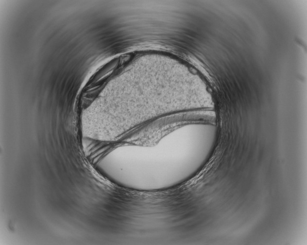 X0000094771116200712071127