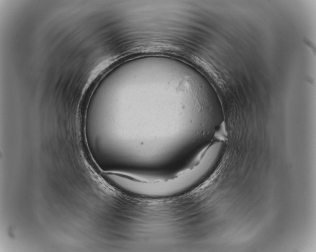 X0000094771122200712071127