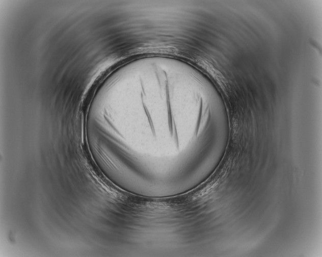 X0000094771123200712071127