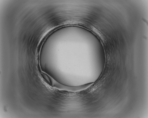 X0000094771124200712071127