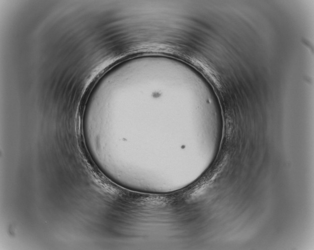 X0000094771125200712071127