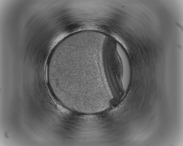 X0000094771127200712071127