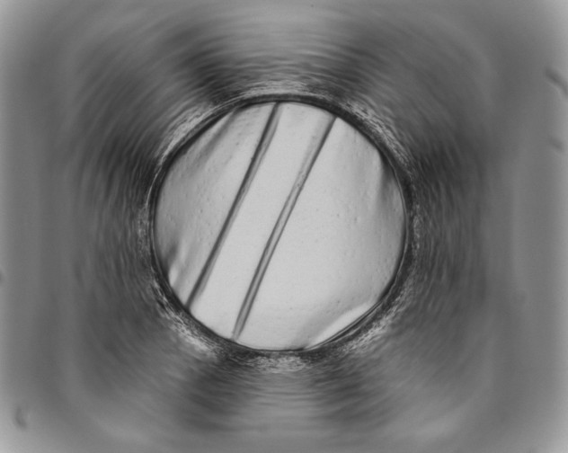 X0000094771129200712071127